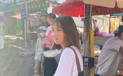 丝网花图片欣赏